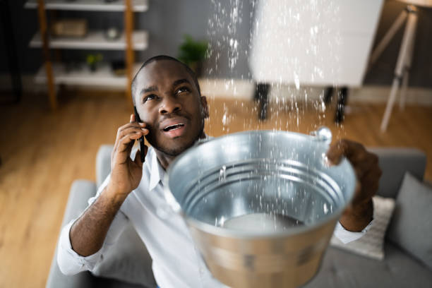 Best Water damage restoration specialists  in Boswell, PA