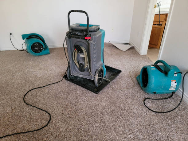 Best Water damage restoration near me  in Boswell, PA