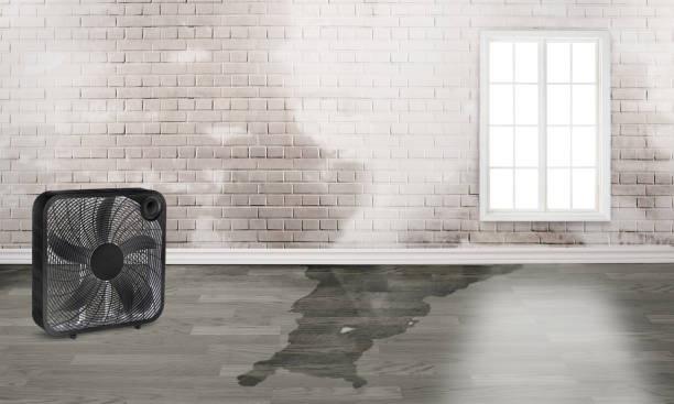 Best Commercial water damage restoration  in Boswell, PA