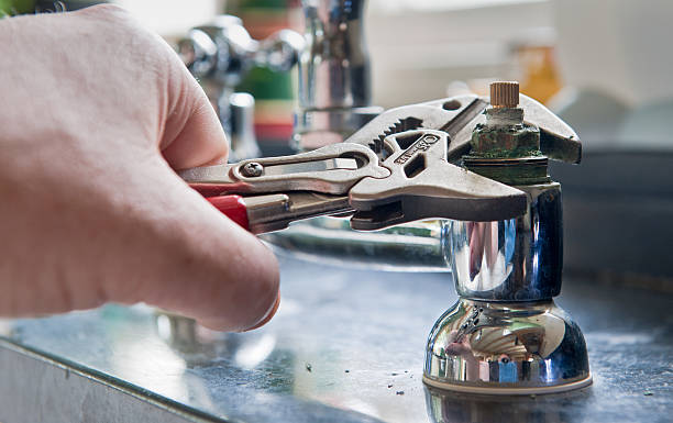 Best Mold removal after water damage  in Boswell, PA