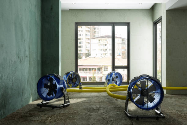 Best Carpet water damage restoration  in Boswell, PA